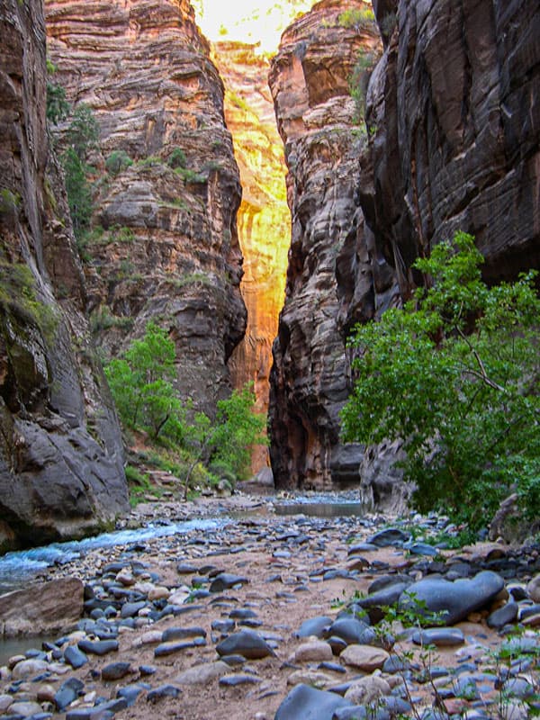 Narrow path through a slot canyon in The Narrows